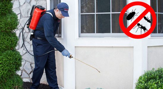 Serinhisar Kene İlaçlama böcek ilaçlama ve haşere kontrolü — ilaclama-tr.com